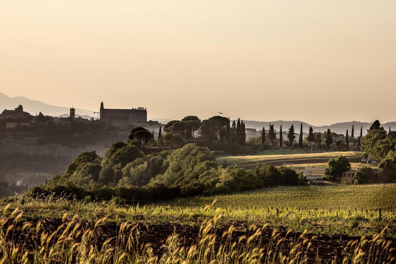 Torre Collevento Luxury Villa Orvieto Luaran gambar